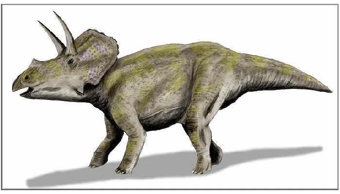 eozostrodon