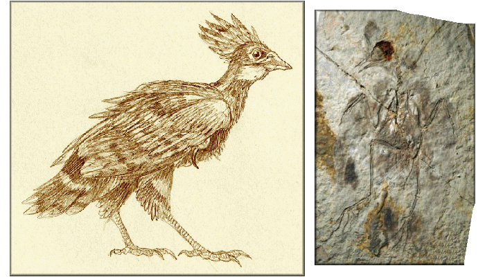 DinosaursExtinct LifeExtinctionPrehistoric AnimalsThe Dinosaur Fan