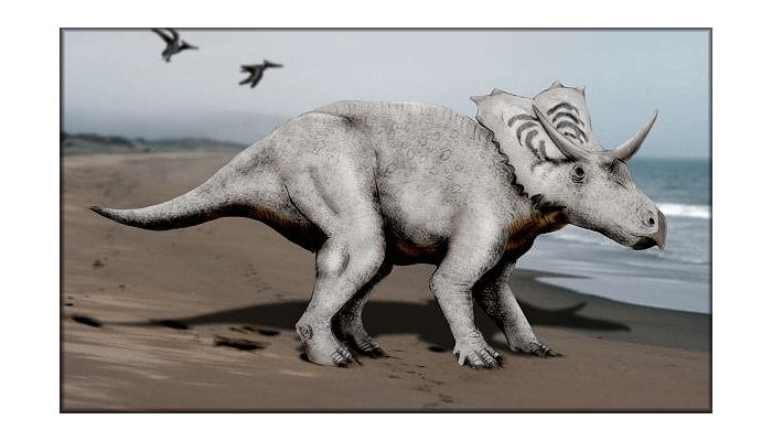 DinosaursExtinct LifeExtinctionPrehistoric AnimalsThe Dinosaur Fan