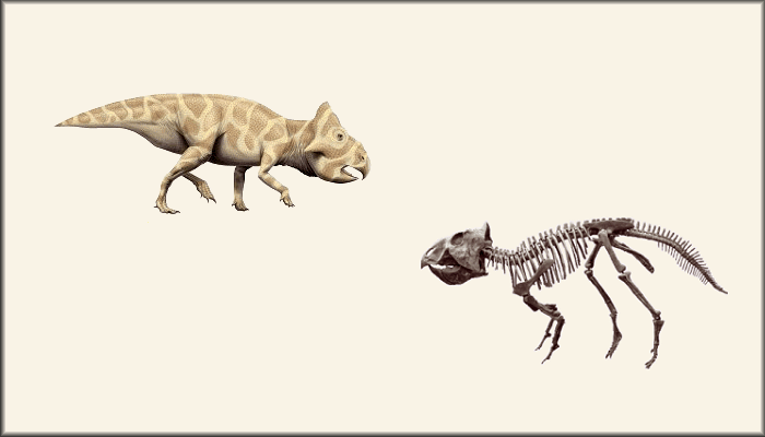 DinosaursExtinct LifeExtinctionPrehistoric AnimalsThe Dinosaur Fan