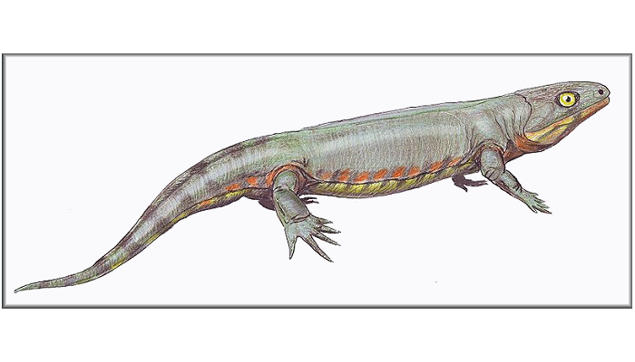 DinosaursExtinct LifeExtinctionPrehistoric AnimalsThe Dinosaur Fan