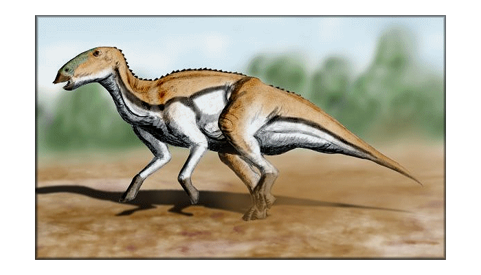 DinosaursExtinct LifeExtinctionPrehistoric AnimalsThe Dinosaur Fan