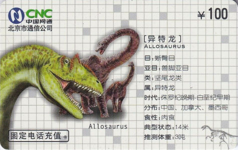 Clade-Gravim Dinosaur Trading Card Starter Kit - Educational Dinosaur Cards - Dino Collectors Card Starter Kit Album - The Beginning of Dino