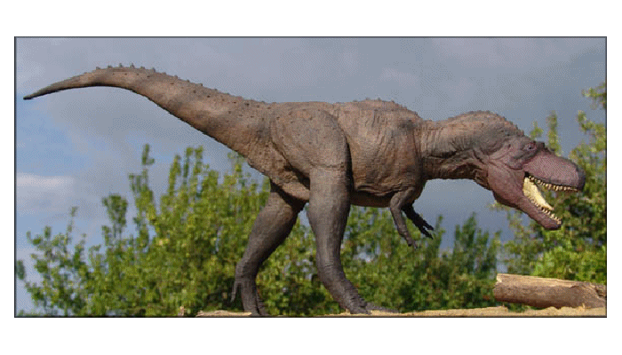 Albertosaurus, Dinosaur King