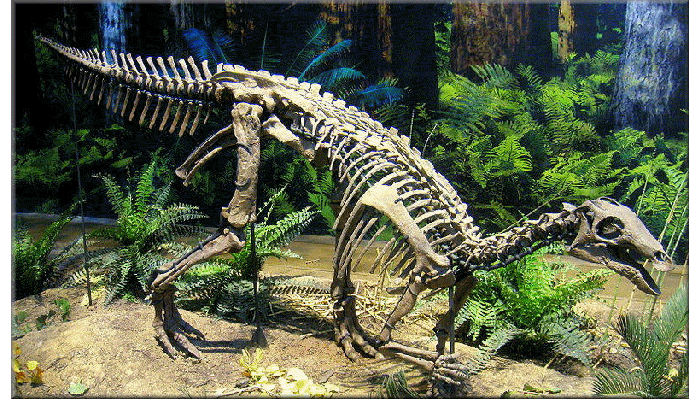 Dinosaurs|Extinct Life|Extinction|Prehistoric Animals|The Dinosaur Fan ...