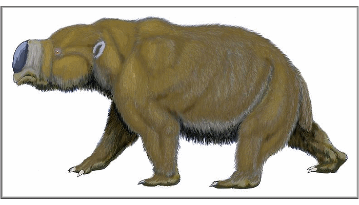 Images and collectibles of living & extinct animals