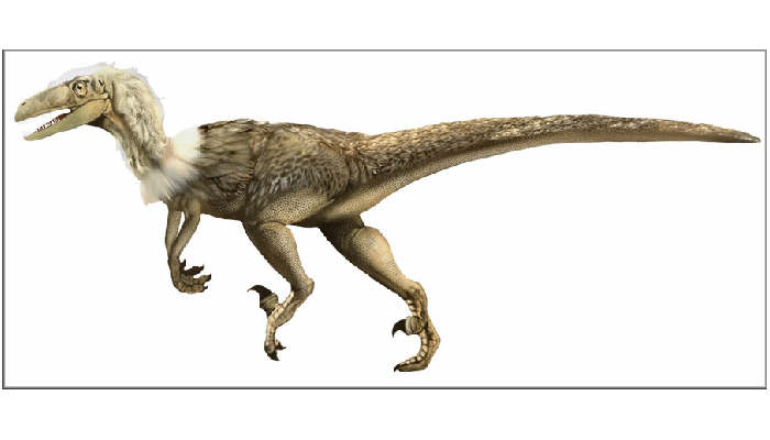 Dinosaur, Pachycephalosaurus – d20PFSRD