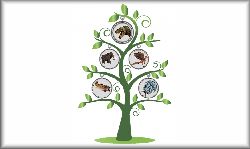 Experience a visual family tree (cladogram) tour of all living and extinct creatures on Earth.